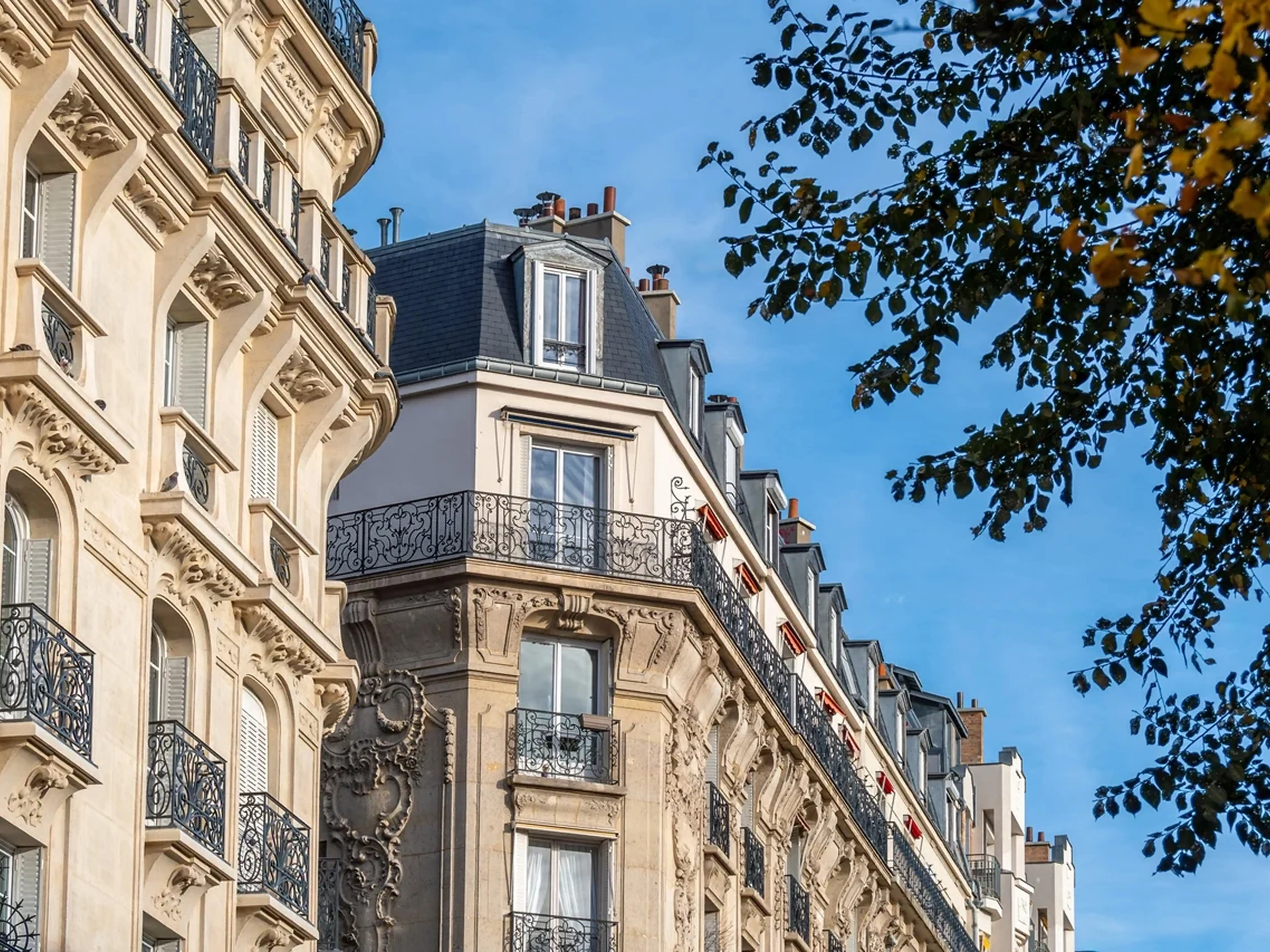 Hero-Chasse-Immobiliere-DOLY_V4